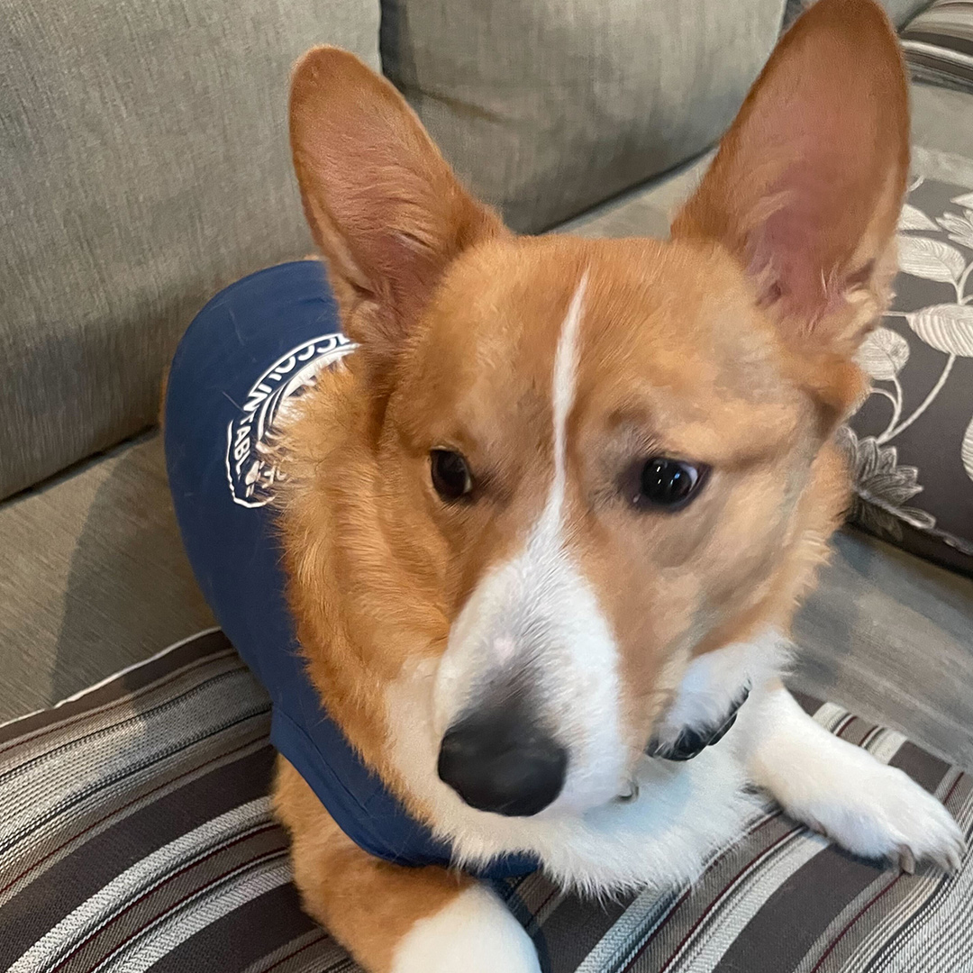 Dogst 2022 - Photo 19