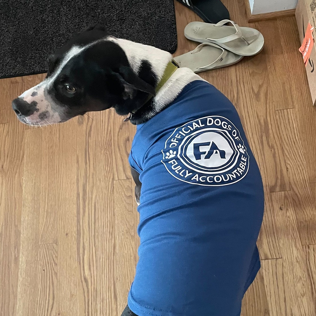 Dogst 2022 - Photo 25