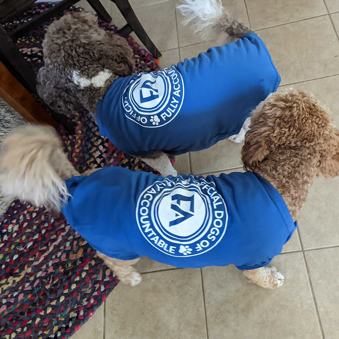 Dogst 2022 - Photo 4